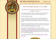 Corporate Web Design