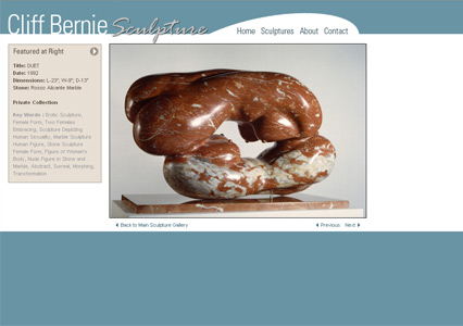 Saint Louis Web Design - Web Designer