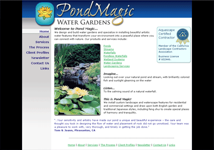 Los Angeles Web Design - Web Designer